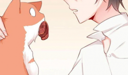 恋爱漫画,恋爱漫画中的浪漫瞬间